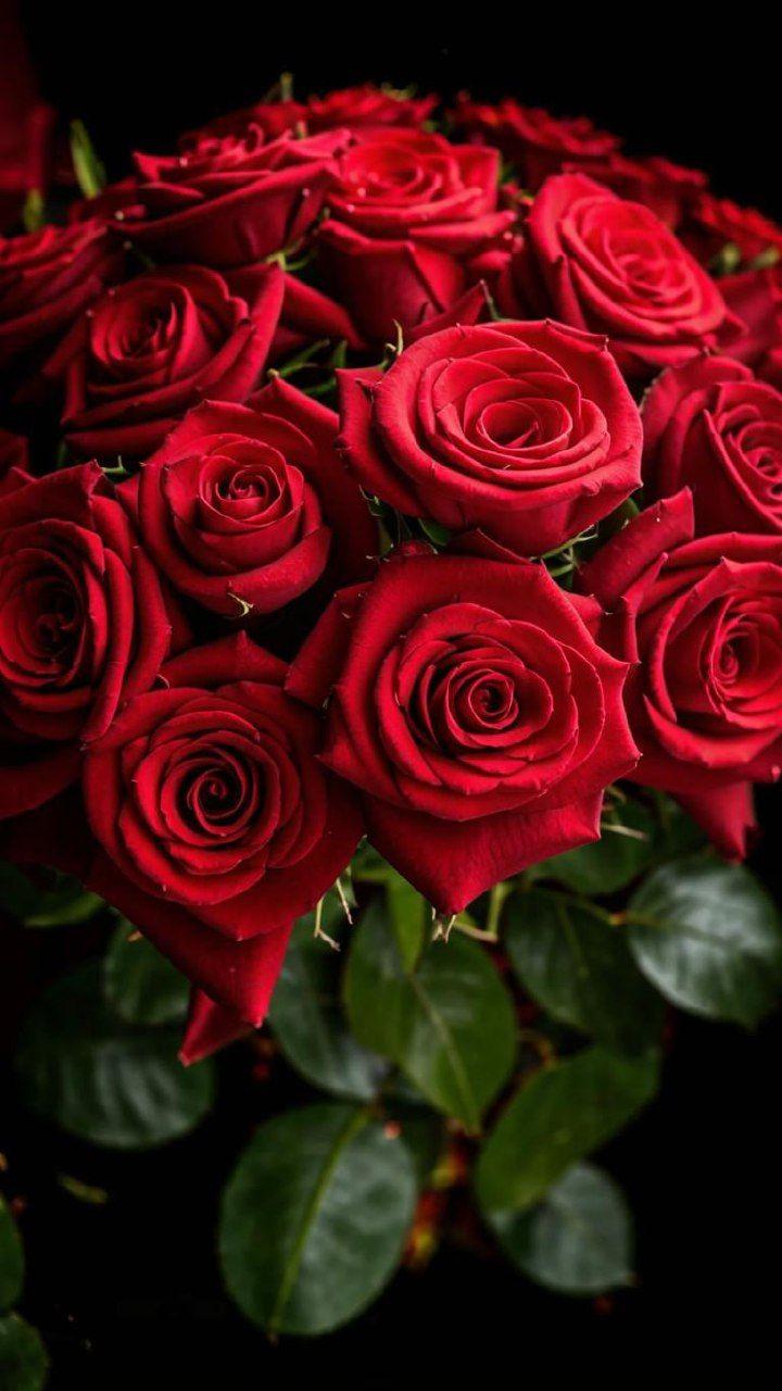 Secret Garden's Blossom Waltz